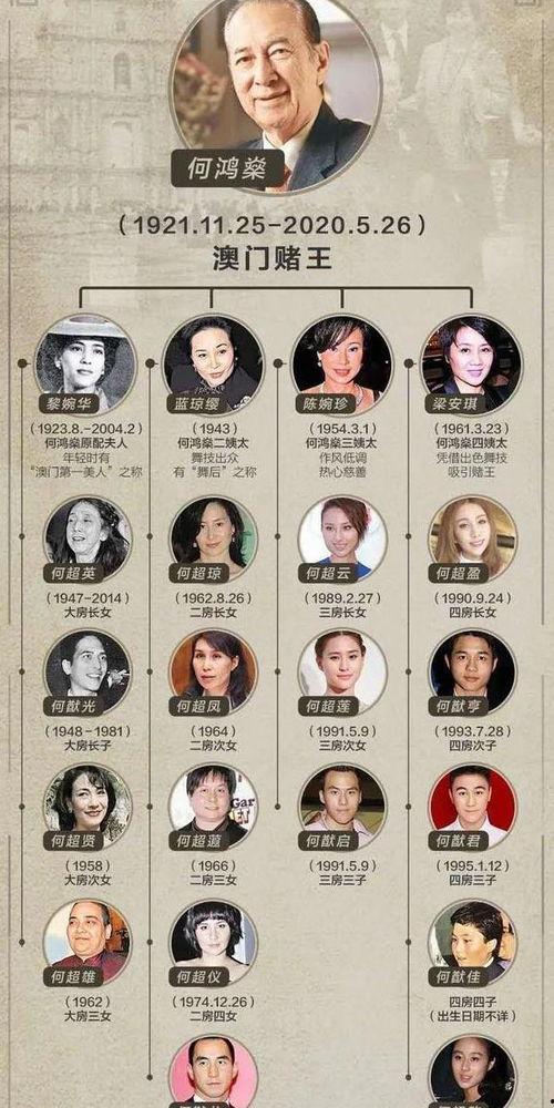 报告霍总！夫人她来自农村,从农村走出的璀璨明珠